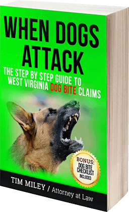 Things to Know When a Dog Attacks or Bites You Book