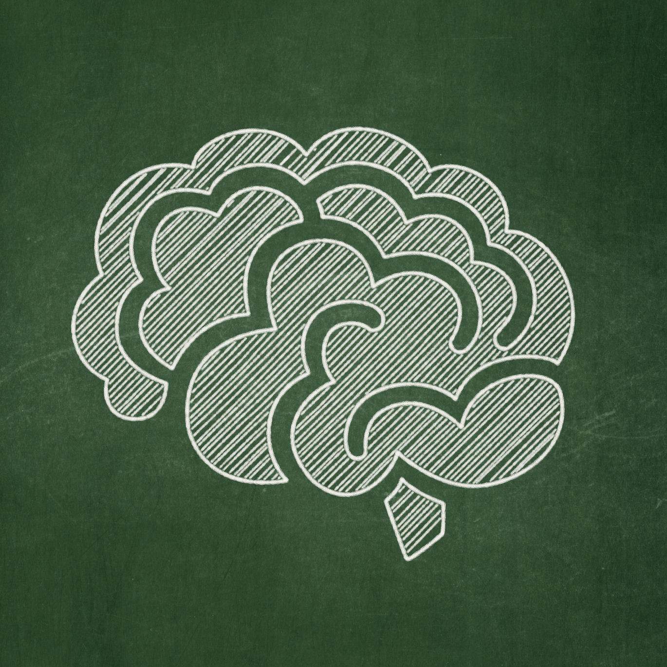 Chalk drawing of a brain on a green chalkboard, illustrating a stylized outline with shaded details.