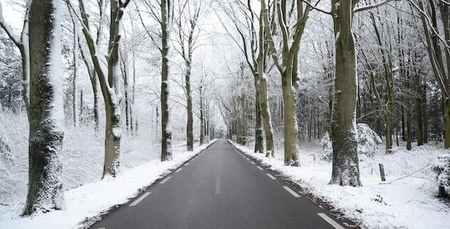 A straight road flanked by tall leafless trees, covered in snow, extends into the distance under a cloudy sky.