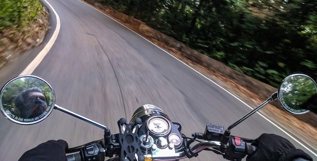 View from a motorcyclist's perspective on a curved road, surrounded by trees. The speedometer and side mirrors are visible, reflecting the rider's view behind.