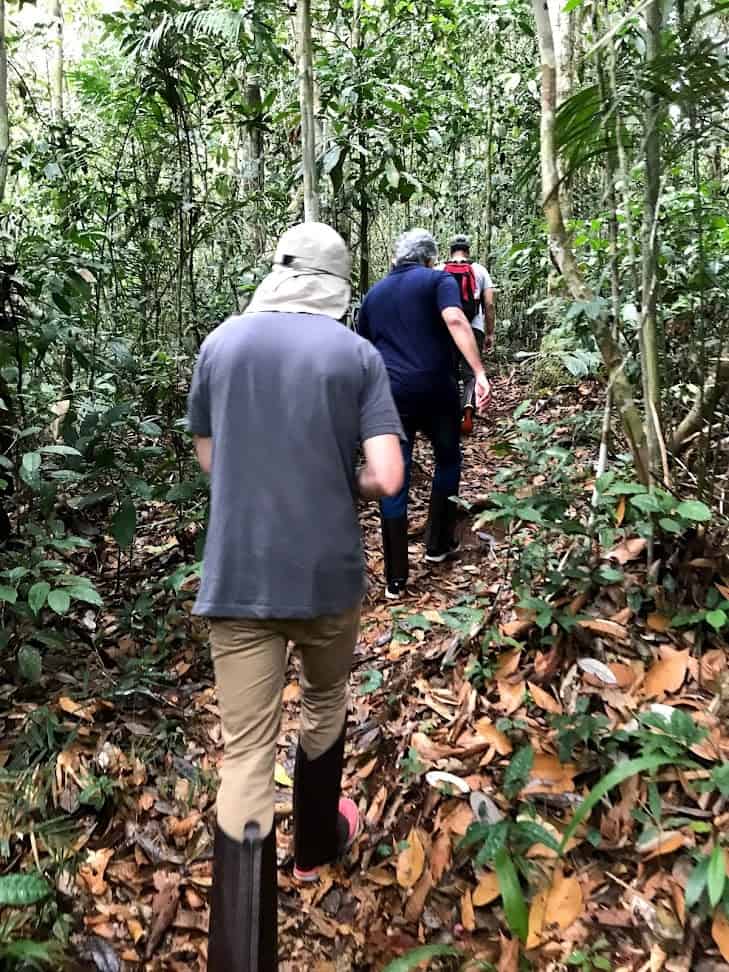 Three people walk along a narrow path in a dense, leafy forest. They are wearing boots and casual outdoor clothing.